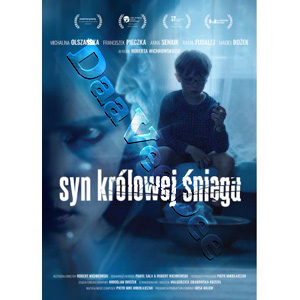The Son of Snow Queen (DVD)